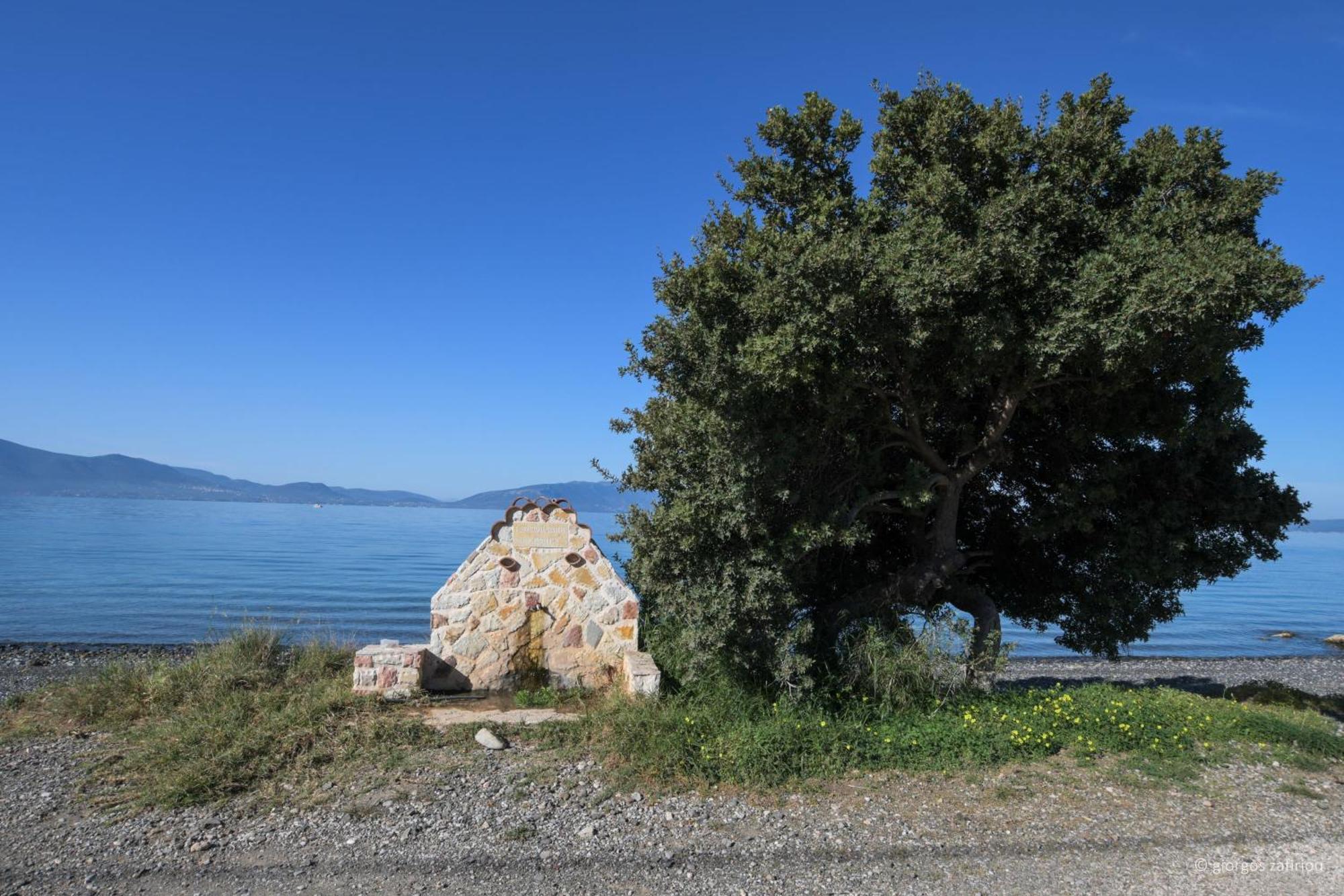 - Ocean Panorama And Lush Gardens Casa vacanze